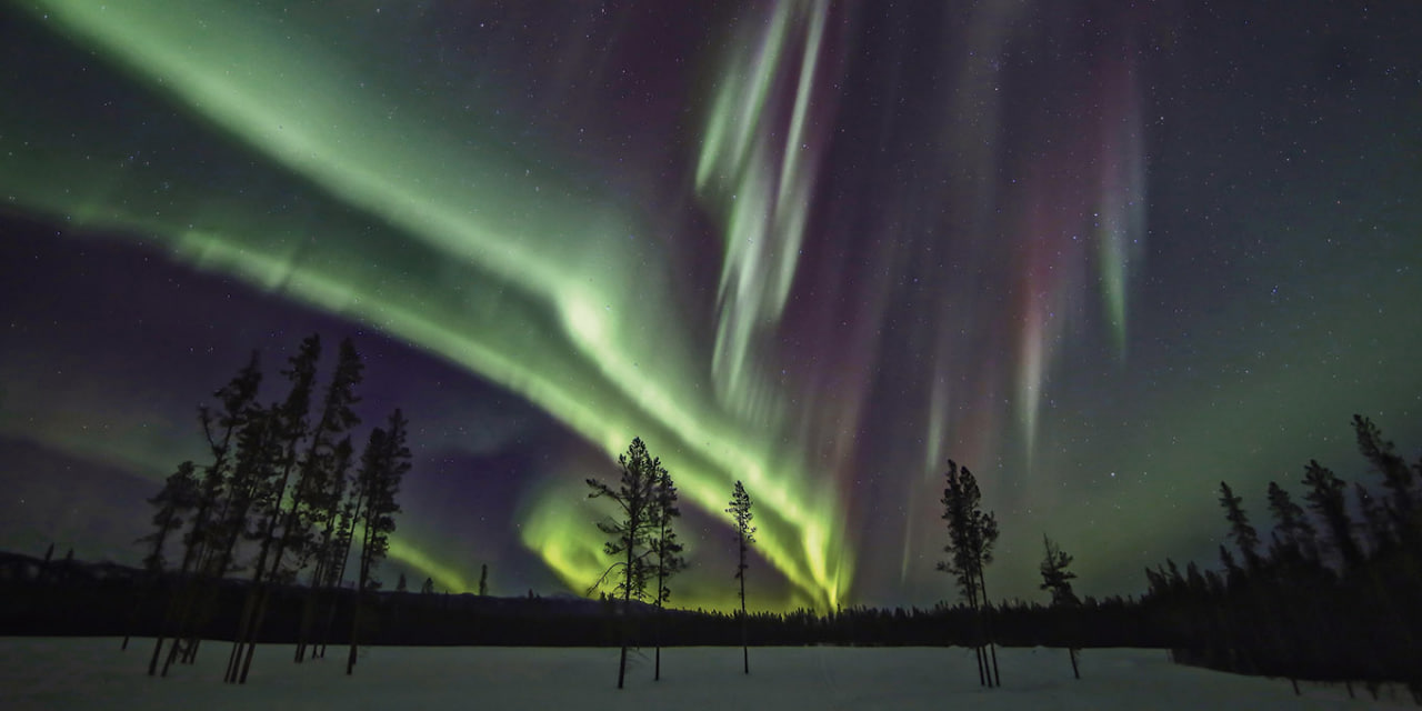 Watch the Northern Lights in Whitehorse